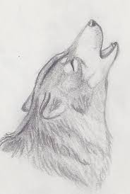 Pin By Arda Konyaliogullari On Drawing Wolf Drawing Wolf Sketch Animal Drawings