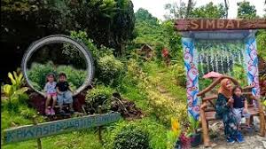 Ini peluang baik untuk anda yang ingin berhibur bersama keluarga di taman tema air. Wisata Simbat Wuluhan Jember Tempat Wisata Indonesia Cute766