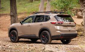 Image result for rogue