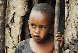 Ann Abbott Art for Sale