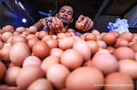 Harga ayam di palembang melonjak, minimnya peternakan jadi alasan. Harga Telur Ayam Di 30 Daerah Kompak Naik Tak Ada Yang Turun 11 2