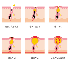 ボード beauty のピン