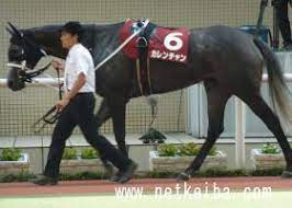 This grammar is the casual spoken way to say that one must do something. ã‚«ãƒ¬ãƒ³ãƒãƒ£ãƒ³ ç«¶èµ°é¦¬ãƒ‡ãƒ¼ã‚¿ Netkeiba Com