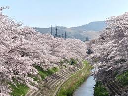 佐保川 - Wikipedia