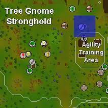 Expect 140k+ farming exp/day if all trees survive. Fruit Tree Patch Osrs Wiki