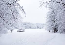 Der begriff eiszeit hat eine historische entwicklung durchlaufen, die bis heute zu verwirrungen führt. Eiszeit Ab Monatsmitte Extreme Kalte Auf Dem Vormarsch