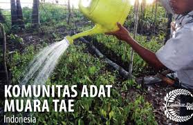 Borneo halim group merupakan brand dari perusahaan yang bergerak di bidang beverages and consumer goods, terdiri dari kumpulan beberapa badan usaha yang saling terafiliasi, yaitu: Komunitas Adat Muara Tae