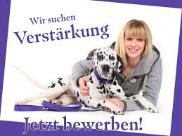 Von vollwertigem futter und leckerchen bis hin zu hundespielzeug zur beschäftigung. Hundeshop De Home Facebook