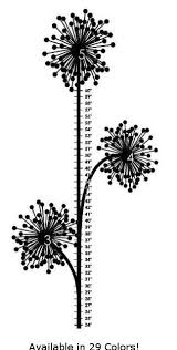 Dandelion Growth Chart Mytoysmart Com Dandelion Nursery
