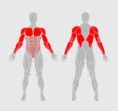 For instance, all areas of the shoulder require strength and coordination to shoot, pass, or dribble. Upperbody Forge Workout