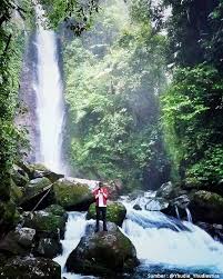 We did not find results for: Curug Ciparay Kawasan Gunung Salak Endah