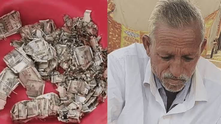 Rajasthan Farmer Buried Rs 5 Lakh In Field To Hide It From Family, Termites Destroyed It All - WATCH | Times Now