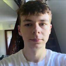 How can I get more than 4 sims living in the same house?