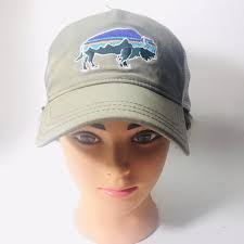 Patagonia women's fitz roy bear trucker hat