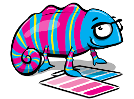 Download Lena Shore Graphic Design Web Development Illustration