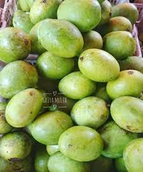 Perbedaan antara buah kuini dengan mangga adalah tekstur seratnya yang lebih halus dan daging buahnya yang lebih lembut. Buah Mangga Kweni Fresh Organik 1 Kg Buah Mangga Kuweni Fresh Organik 1 Kg Shopee Indonesia