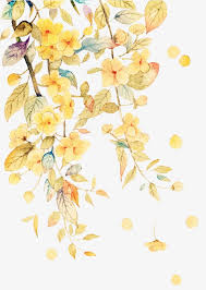 Watercolor Flowers Watercolor Flowers Paintings Flower Painting Watercolor Flowers
