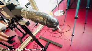Free Riding Sex Machine Porn Videos | xHamster