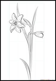 Look closely at the flower and place the petals where they will follow where they should be. How To Draw Flowers Drawing Tutorials Drawing How To Draw Flowers Blossoms Petals Drawing Lessons Step By Step Techniques For Cartoons Illustrations