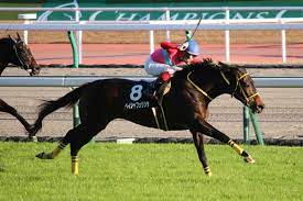 Последние твиты от ケイン・ヤリスギ「♂」 (@kein_yarisugi). å‡½é¤¨ã‚¹ãƒ—ãƒªãƒ³ãƒˆã‚¹ãƒ†ãƒ¼ã‚¯ã‚¹2019ã®ç«¶é¦¬äºˆæƒ³åˆ†æž 3ã¤ã®ãƒ‡ãƒ¼ã‚¿ã‹ã‚‰å°Žãç©´é¦¬å€™è£œ