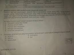 Argha karya prima industry (akpi) 49. Jawabkan Nomer 6 Ya Ka Brainly Co Id