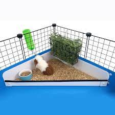 Pin On Piggies