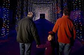 Zoo Lights Is One Of The Very Best Things To Do In Memphis