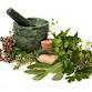 Celtic Herbology