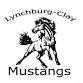 Minford at Lynchburg-Clay event image