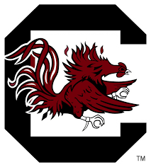 South Carolina Gamecocks Logo Png Image South Carolina Football Carolina Football Carolina Gamecocks