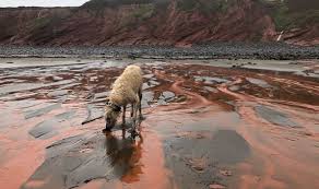 Devon: Terrifying phenomenon as sea turns BLOOD RED | UK | News |  Express.co.uk