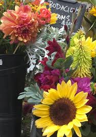 We have six bouquet types to choose from browse through our sunflower wedding bouquets to find the perfect one that matches your vision. Building A Better Market Bouquet For Flower Farmers Johnny S Selected Seeds