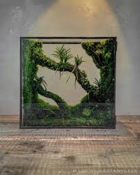 James Wong On Instagram As Promised Here S A Update On The Mini Orchid Terrarium I Created In A Laredoute U In 2021 Orchid Terrarium Beautiful Terrariums Aquascape