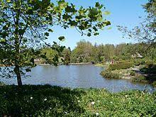 Der botanische garten wurde 1821 am bahnhof dammtor gegründet, feiert also in diesem jahr seinen 200. Loki Schmidt Garten Wikipedia