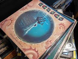 Image result for Platterpus