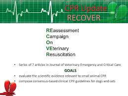 Wendy Blount Dvm Cpr Update Recover Ppt Download