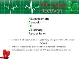 wendy blount dvm cpr update recover ppt download