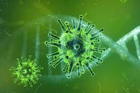 La secretaria de salud de tamaulipas, gloria molina gamboa confirmó hoy la nueva cepa del coronavirus, conocida como b117, en un viajero internacional que. Nuevas Cepas Del Covid 19 Mas Infecciosas Pero No Mas Letales