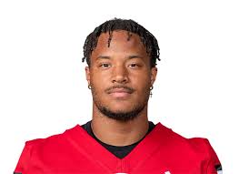 Northern Illinois Huskies