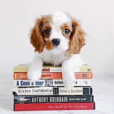 The History Of Commercial Pet Food A Great American Marketing Story The Farmer S Dog Food Animals Pets Animal Behavior