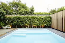 Landscape Architecture Dave Kulesza In 2020 Outdoor Remodel Swimming Pool Landscaping Pool Landscaping