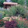 What are the growing zones in new mexico? 1