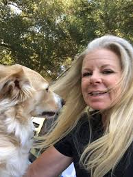 Golden retriever performs well in agility trial