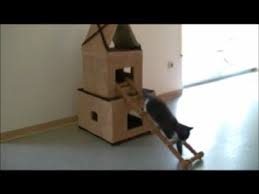 Es ist sehr wichtig herauszufinden ob es nicht nur gnstiges sondern auch ein mglichst scharfes bild habt sprich ihr schiebt euer smartphone im. How To Make A Cardboard House For Cats Katzenhaus Aus Kartons I Diy Youtube
