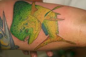 It is also a good idea to wash the tattoo daily. Saltwater Fish Tattoos