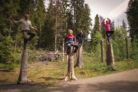 There you will find the gorge skurugata, the most notable natural monument in southern. Rovarvandring Och Brakfika I Eksjo Elna Dahlstrand