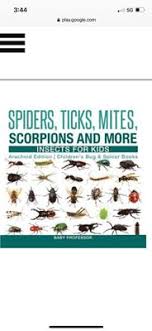 Learn about bed bugs and bed bug pest control methods. The 10 Best Exterminators In Bakersfield Ca With Free Estimates