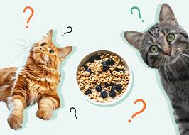 Seven Foods Your Cat Shouldn'T Eat