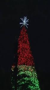 Exciting activities around lake eola for everyone. News 6 Wkmg Clickorlando Lake Eola Christmas Tree Lighting Facebook
