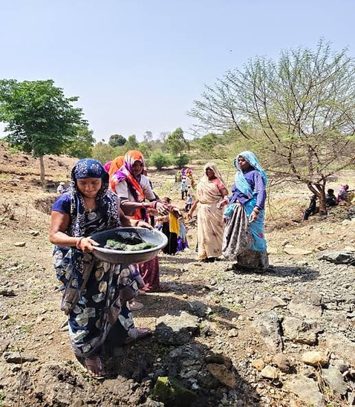 Resurgence of Halma in Madhya Pradesh: Bhil Tribal Tradition Revives Village Well and Community Spirit